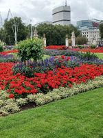 vor dem Buckingham Palace