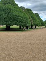 Park von Hampton Court