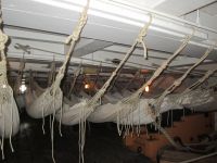 H.M.S. Victory: Mannschaftsschlafraum