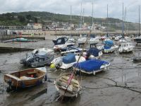 Ebbe in Lyme Regis
