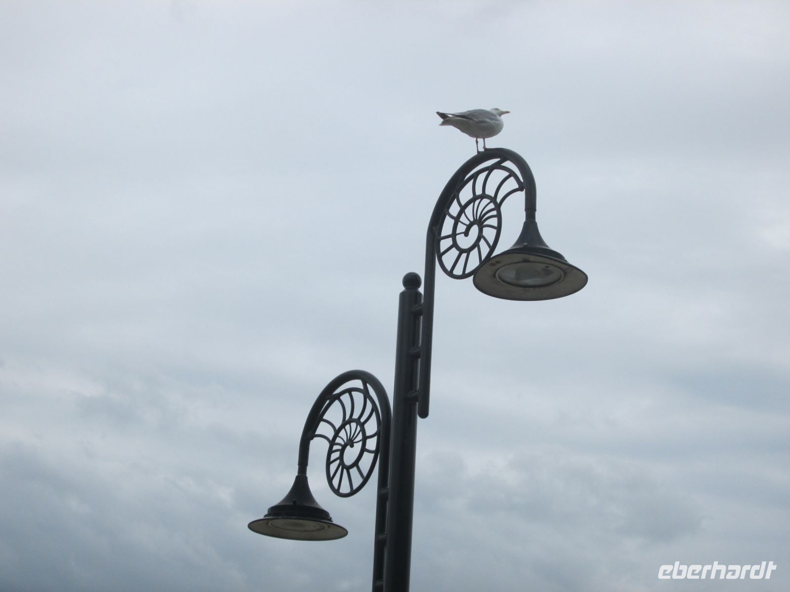 Lampe mit Ammonitenornament