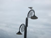 Lampe mit Ammonitenornament