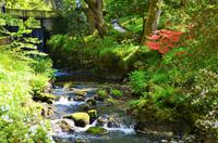 212 Bodnant Garden