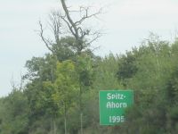zwischen Düren und Kerpen: Allee Baum des Jahres