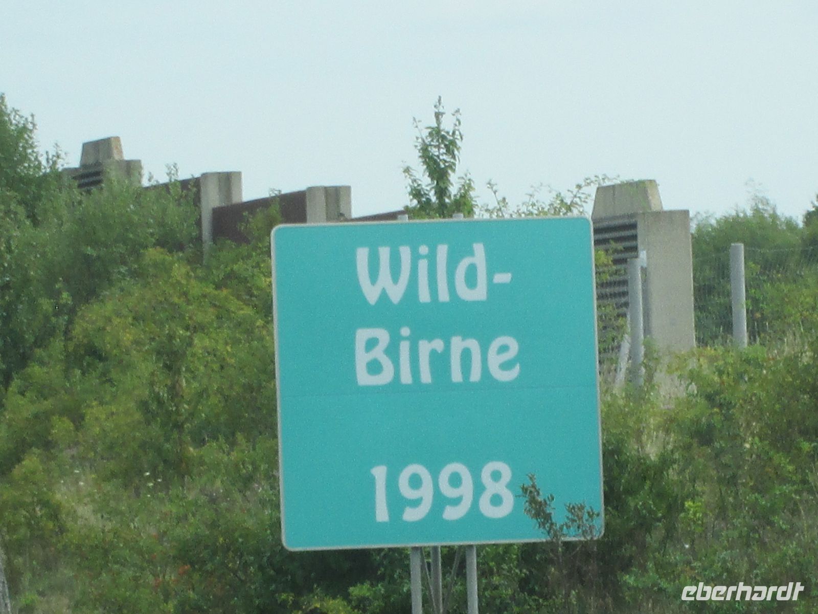 Allee Baum des Jahres
