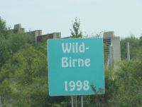 Allee Baum des Jahres