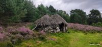 145 Highland Folk Museum, Black Houses