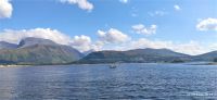 235 Corpach, Blick über den Loch Linneh zum Ben Nevis Massiv und nach Fort William