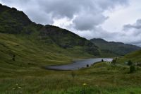 303 Passhöhe im Argyll Forest