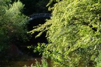 Brücke über das South Calder Water (aufgrund ihrer Nähe zum Römerlager auch als 