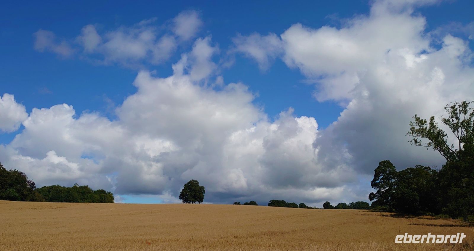 Das Wetter wird besser