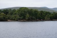 Uferszene an Loch Lomond, der sanfte Hügel hinter den Bäumen markiert die Highland Boundary Fault