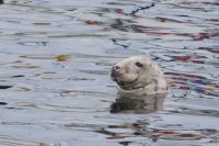 Nach längerem Sonnenbad auch mal gucken, was denn eigentlichso rundherum los ist