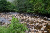 der Finnan (Glenfinnan)