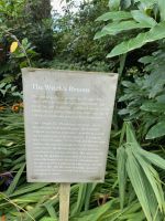 ...auch Hexenbesen genannt