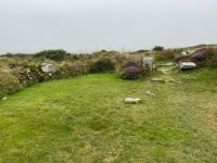 ...damals auch diese Blütenpracht...