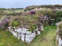 ...vor ihren Häusern hatten?