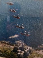 Bild aus der Sammlung im Schloss