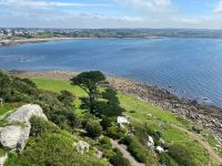 Blick auf den Garten