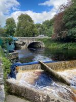 braunes Torfwasser in Tavistock