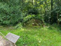 der schlafende Riese