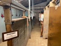 der wurde hier abgeduscht