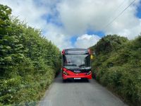 Diese Straße ist nicht groß genug für uns beide!