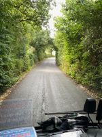 Fahrt durch Laubtunnel...