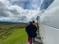 Gras wie ein Teppichboden