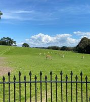 historischer Wildpark