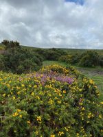 In echt einfach nur schön!