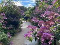 Lost Gardens of Heligan