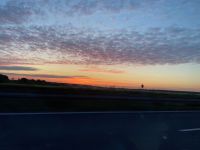 Morgenstund hat Gold im Mund