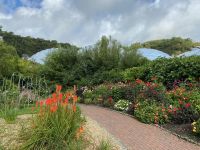 Raumstation im Blütenmeer