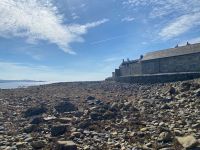 Schotterstrand auf der Insel