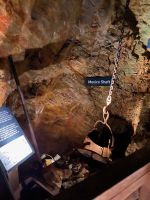 ...vor 200 bis 300 Jahren,..