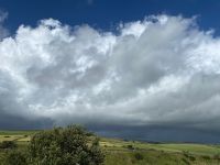 Wieder in der echten Welt, das Bodmin Moor