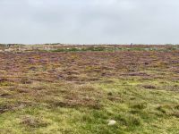 Wir sind über 220 km westlicher als Madrid!