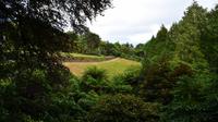 213 Cornwall, Trebah Garden