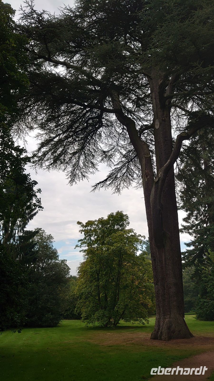 Arley Aboretum & Gardens.JPG