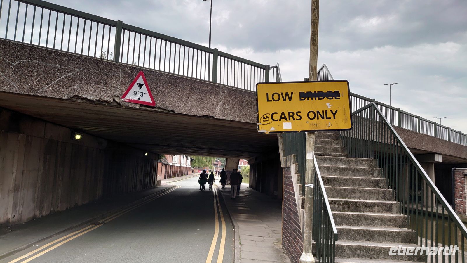 Chester - Spaßvögel gibt es überall.JPG