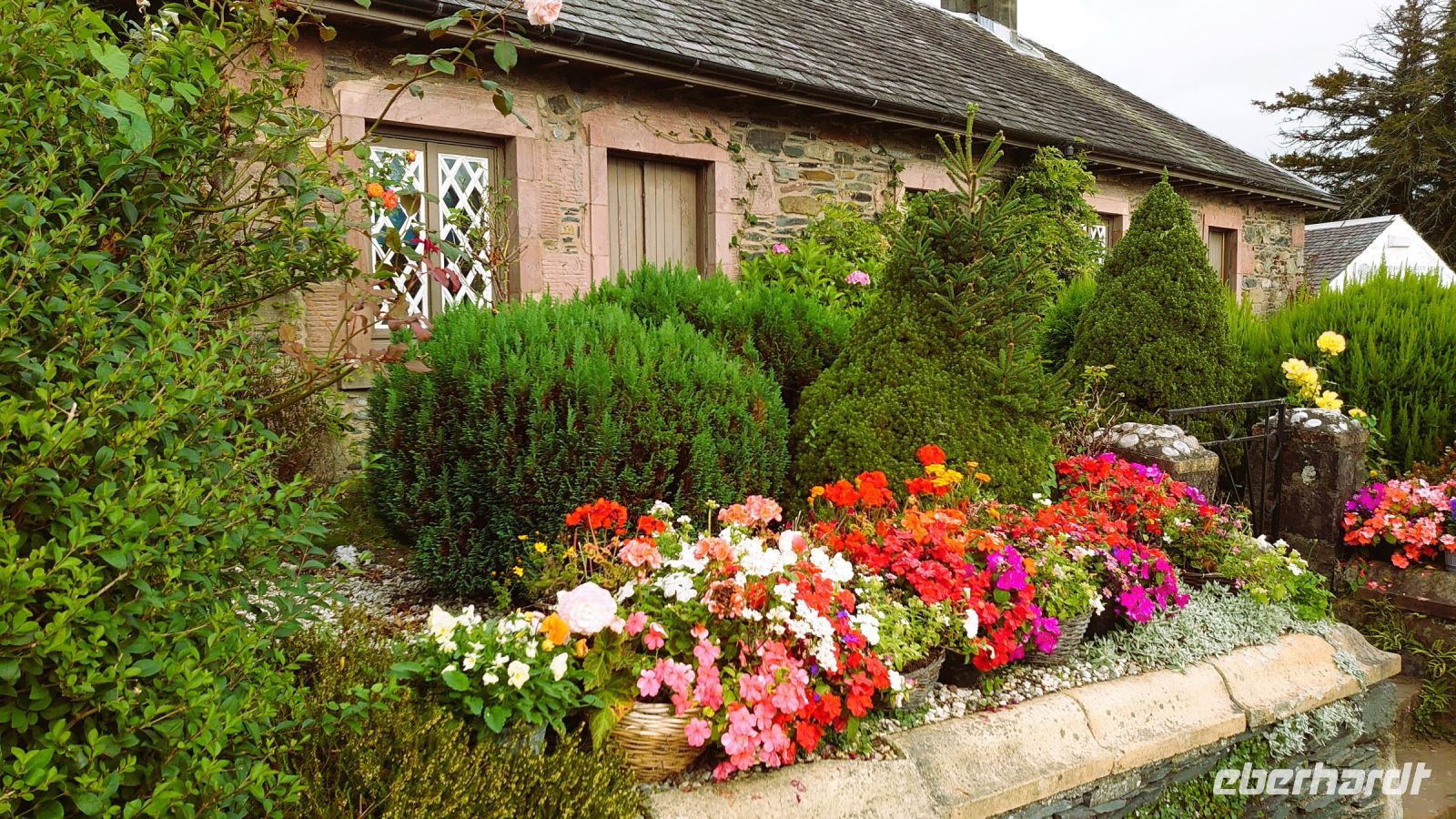 Luss - Hübsche Vorgärten.JPG