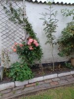 erste Ansiedlung in Aberdeen 