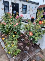 erste Ansiedlung in Aberdeen 