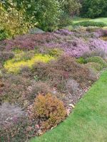 Gartenanlage am Schloss Balmoral