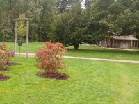 Blick zum Gartenhaus