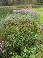 Gartenanlage am Schloss Balmoral