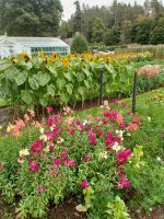 Gartenanlage am Schloss Balmoral