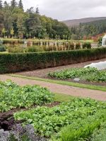 Gartenanlage am Schloss