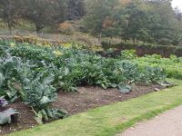 Gartenanlage am Schloss